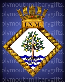 Institute of Naval Medicine